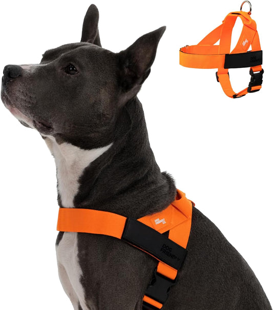 DF Co. Dog Harness | Chafe Resistant Webbing, Adjustable Neck & Chest, and Heavy Duty D-Ring | Sturdy, Comfortable, Easy to Use |